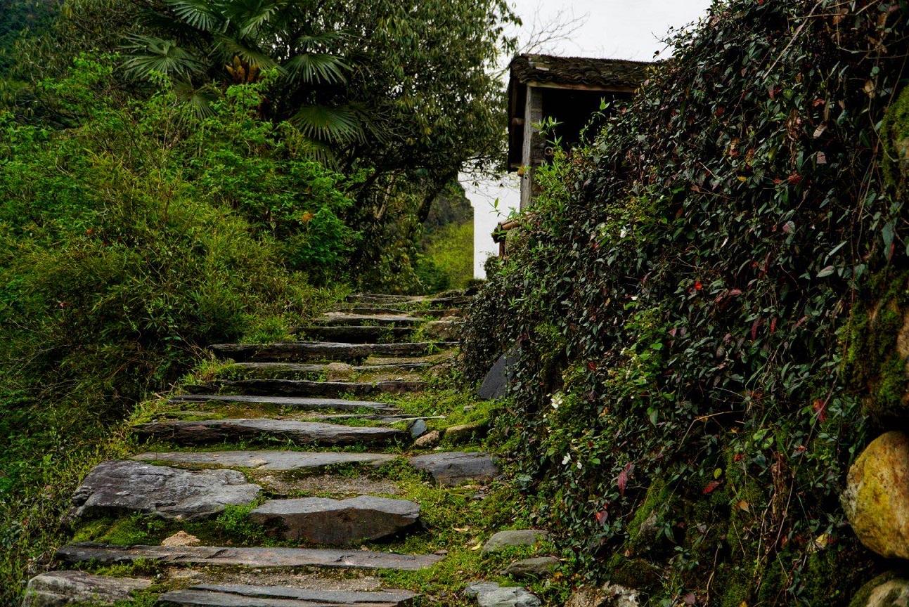 白石是哪里的地方？ 安徽池州白石村，一个与世隔离的世外桃源，很少有人听过