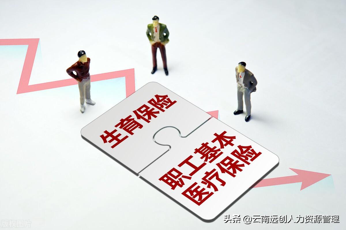 生育险报销标准是什么？有哪些可以报销吗？